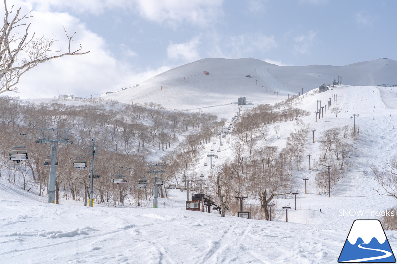 ニセコビレッジ ＆ ニセコHANAZONOリゾート ＆ ニセコ東急 グラン・ヒラフ｜現在も全エリアで山頂から山麓まで大部分滑走可能！とにかく広い世界のニセコ(^^)v